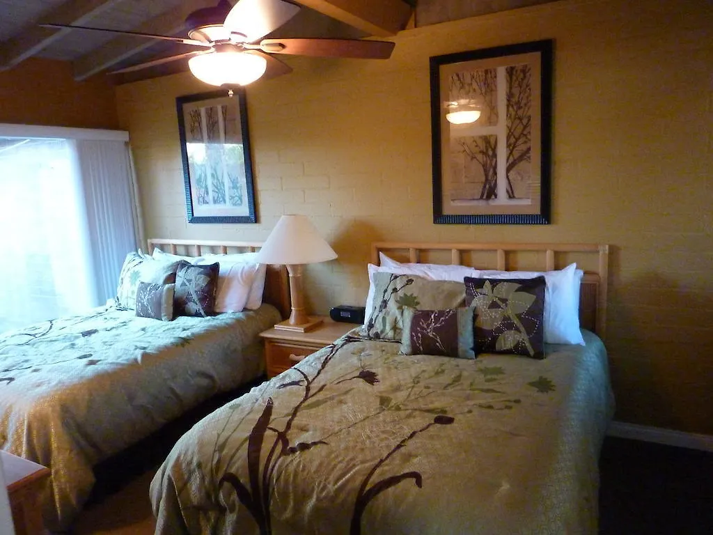 A Place in the Sun: Adults-Only Midcentury Boutique with Heated Pool Palm Springs United States