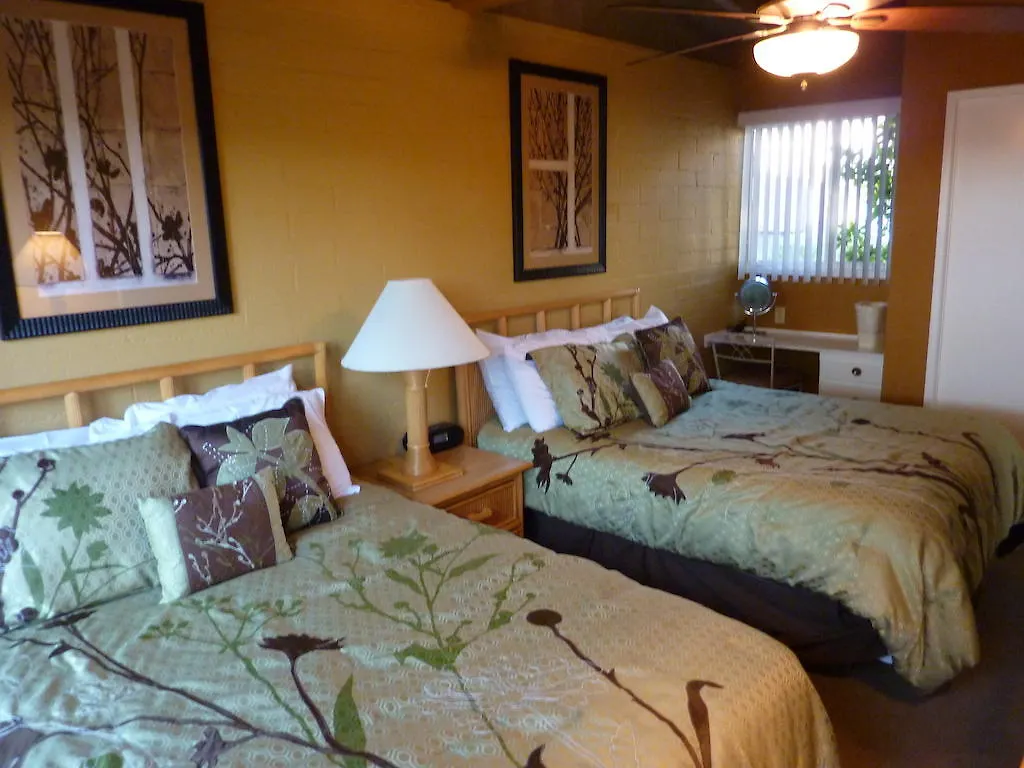 A Place in the Sun: Adults-Only Midcentury Boutique with Heated Pool Palm Springs Hotel